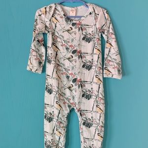 Kate quinn Forrest bird print